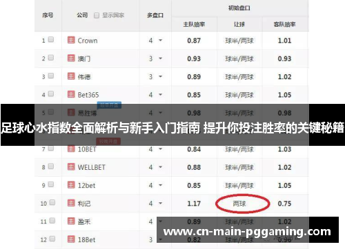 足球心水指数全面解析与新手入门指南 提升你投注胜率的关键秘籍