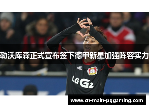 勒沃库森正式宣布签下德甲新星加强阵容实力