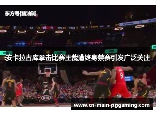 安卡拉古库拳击比赛主裁遭终身禁赛引发广泛关注